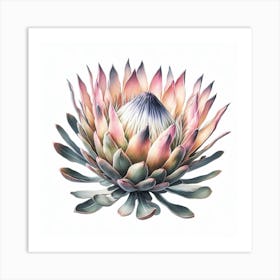 Protea 5 Art Print