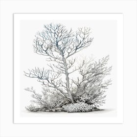 Coral Tree Art Print