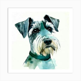 Schnauzer Canvas Print Art Print