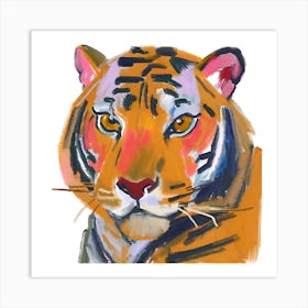 Indochinese Tiger 02 Art Print