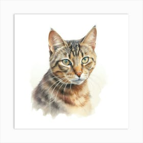 York Chocolate Cat Portrait 3 Art Print