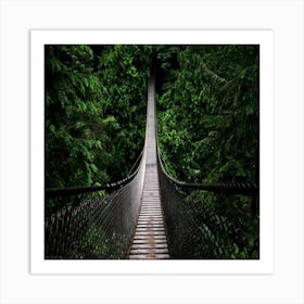 Suspension Bridge Art Print