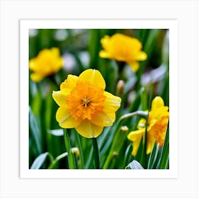 Garden Blossom Summer Grass Bloom Green Buttercup Meadow Field Spring Beautiful Yellow B (3) Art Print