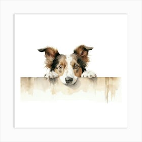 Border Collie 10 Art Print