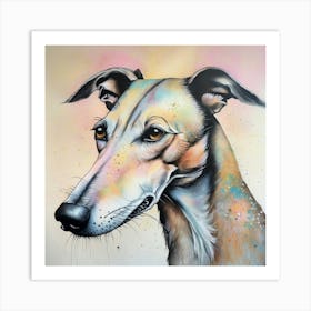 Greyhound Art Print