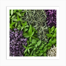 Fresh Herbs 6 Art Print