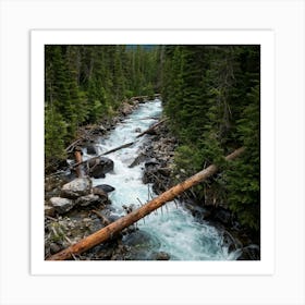 Rocky Mountain Stream Art Print