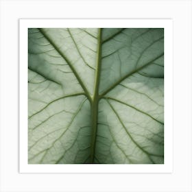 Close Up View Of The Veins And Structure Of A Large Green Leaf Art Print