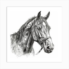 Horse Head Drawing 1 Art Print