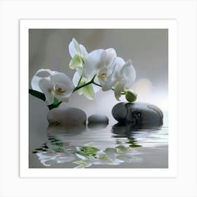 White Orchids In Water 1 Art Print