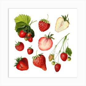 Strawberry Set Art Print