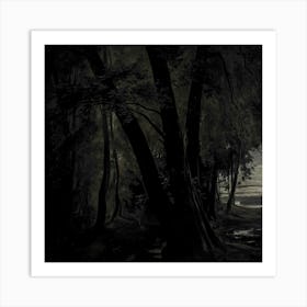 Dark Forest 2 Art Print