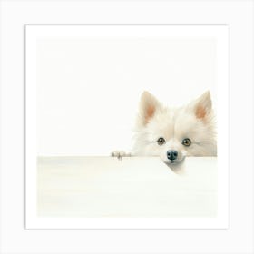 Pomeranian Dog 1 Art Print