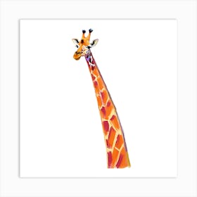 Masai Giraffe 02 Art Print