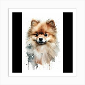 Pomeranian Watercolor Painting Art Print