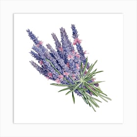 Lavender Flower Art Print