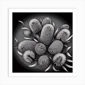 Banksia 1 Art Print