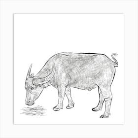 Water Buffalo Poster