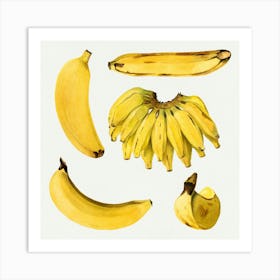 Bananas 4 Art Print