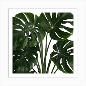 Full Green Plant (3) Art Print