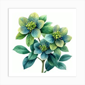 Blue Hellebore 5 Poster