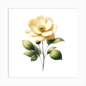 Peony Flower Art Print