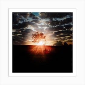 Sunset In The Field Art Print