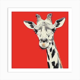 Giraffe Canvas Print Art Print