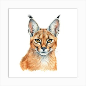 Caracal Cat Portrait Art Print