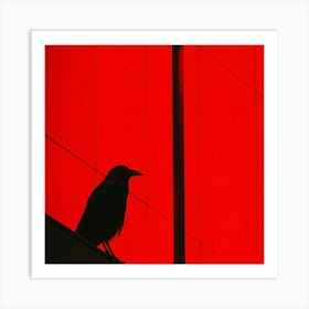 Silhouette Of A Crow Art Print