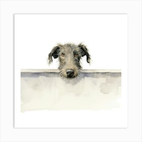 Scottish Deerhound Art Print