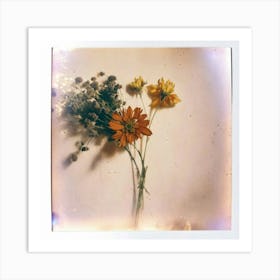 Polaroid Art Print