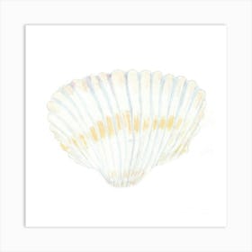 Seashell watercolor Art Print