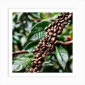 Coffee Beans On The Tree 2 Art Print