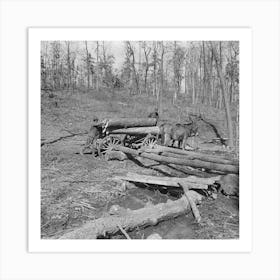 Logs Are Brought From The Timber Tract By Horse And Wagon And Rolled Upon The Runway To The Sawmill At Omaha, Illinoi Art Print