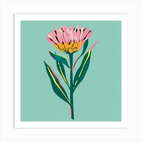 Everlasting Flower Square Flower Illustration Art Print