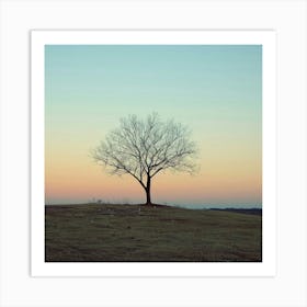 Lone Tree At Sunset 6 Art Print