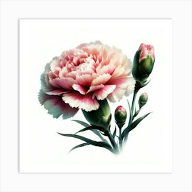 Carnation Flower Art Print