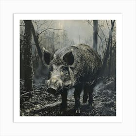 Wild Boar Art Print