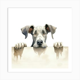 Great Dane Dog 1 Art Print