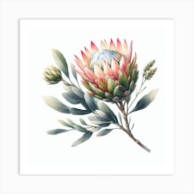 Protea 7 Art Print