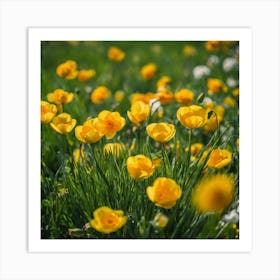 Yellow Poppies In A Field Art Print