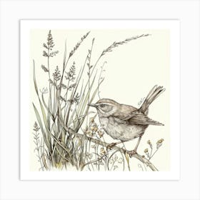 Wren Bird Drawing 3 Art Print