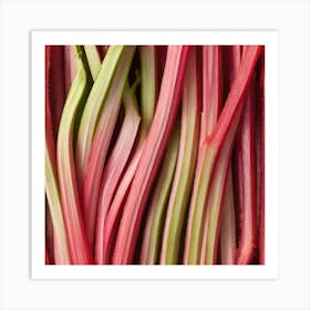 Rhubarb 25 Art Print