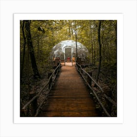 Igloo In The Woods Art Print