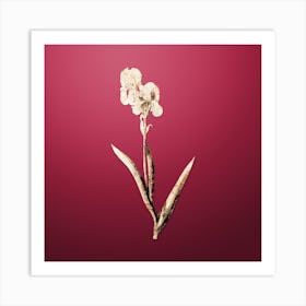 Gold Botanical Tall Bearded Iris on Viva Magenta Art Print