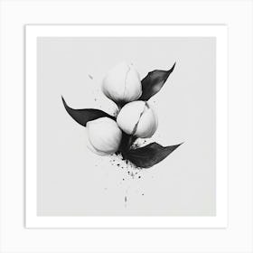 Cotton Flowers Art Print