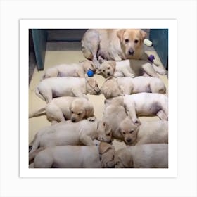 Mother And Her Puppies Art Print