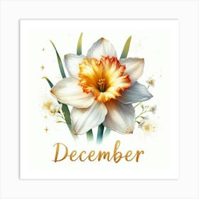 Paperwhites - December Birth Flower Art Print