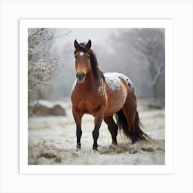 Horse In The Snow Art Print